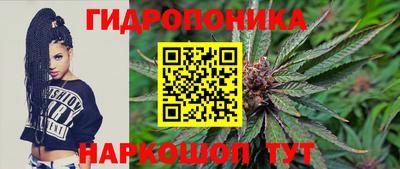 соль ск Пушкино