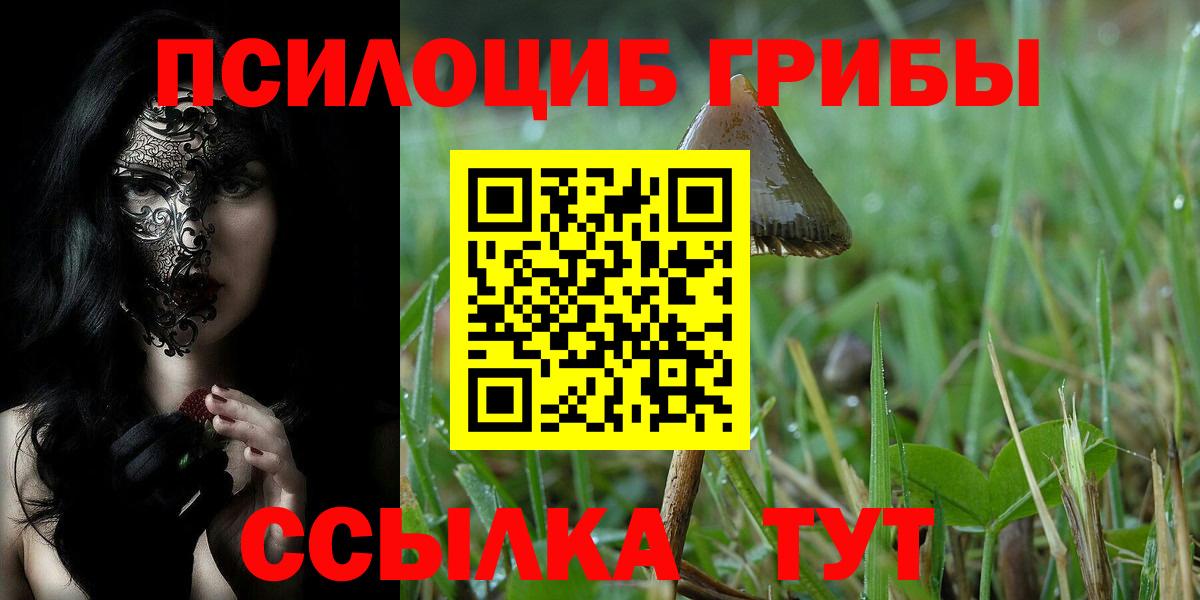 Псилоцибиновые грибы MAGIC MUSHROOMS Протвино
