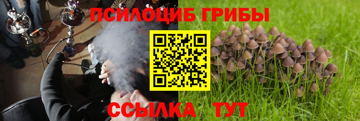Псилоцибиновые грибы ЛСД  Вход с VPN  Протвино 